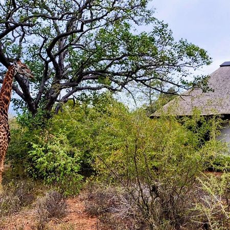 Taaibos Bush Lodge Hoedspruit Exterior photo