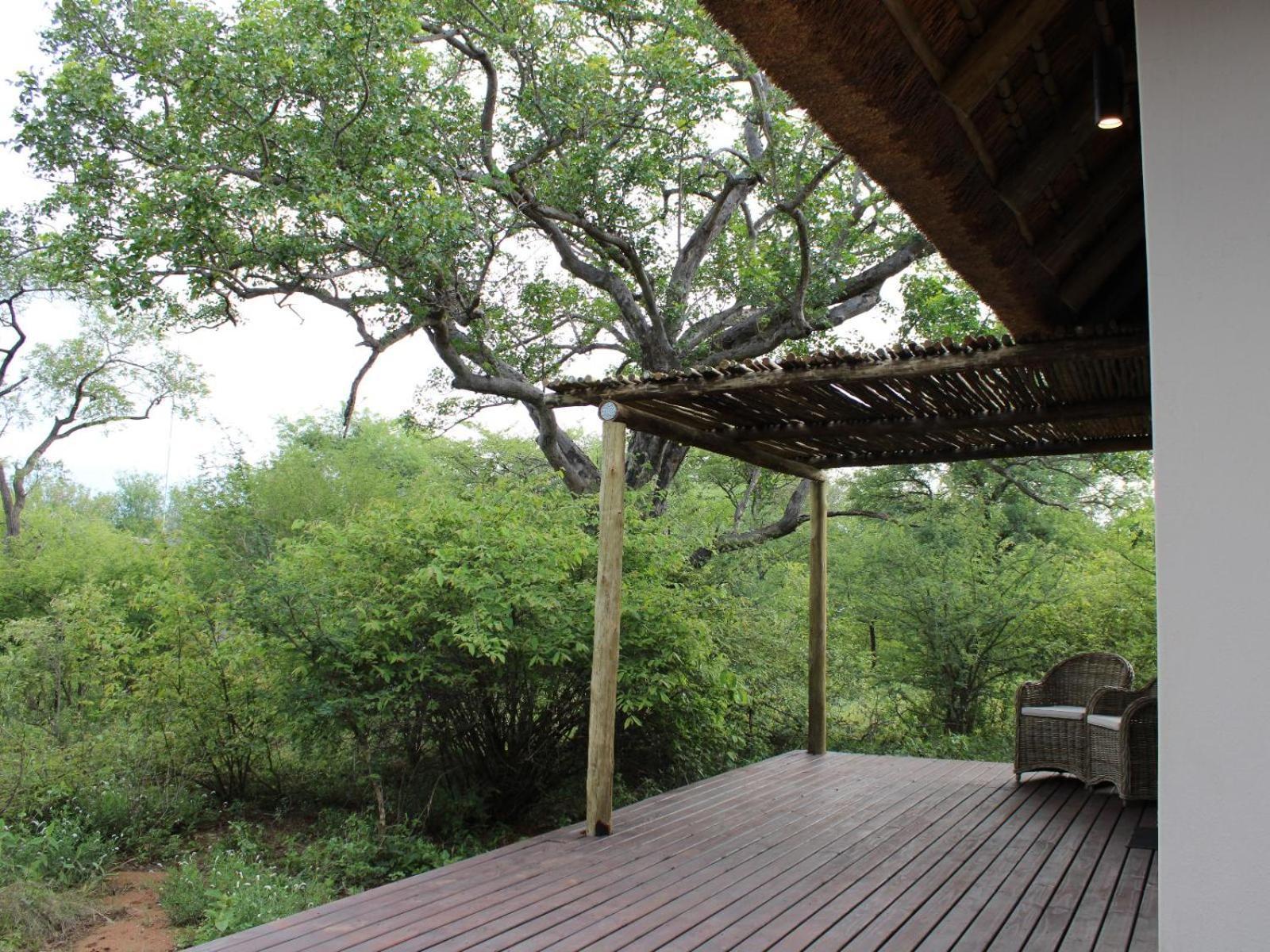 Taaibos Bush Lodge Hoedspruit Exterior photo