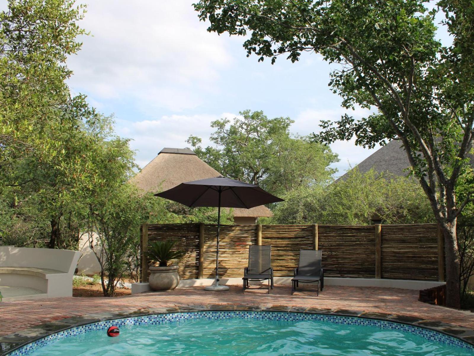 Taaibos Bush Lodge Hoedspruit Exterior photo