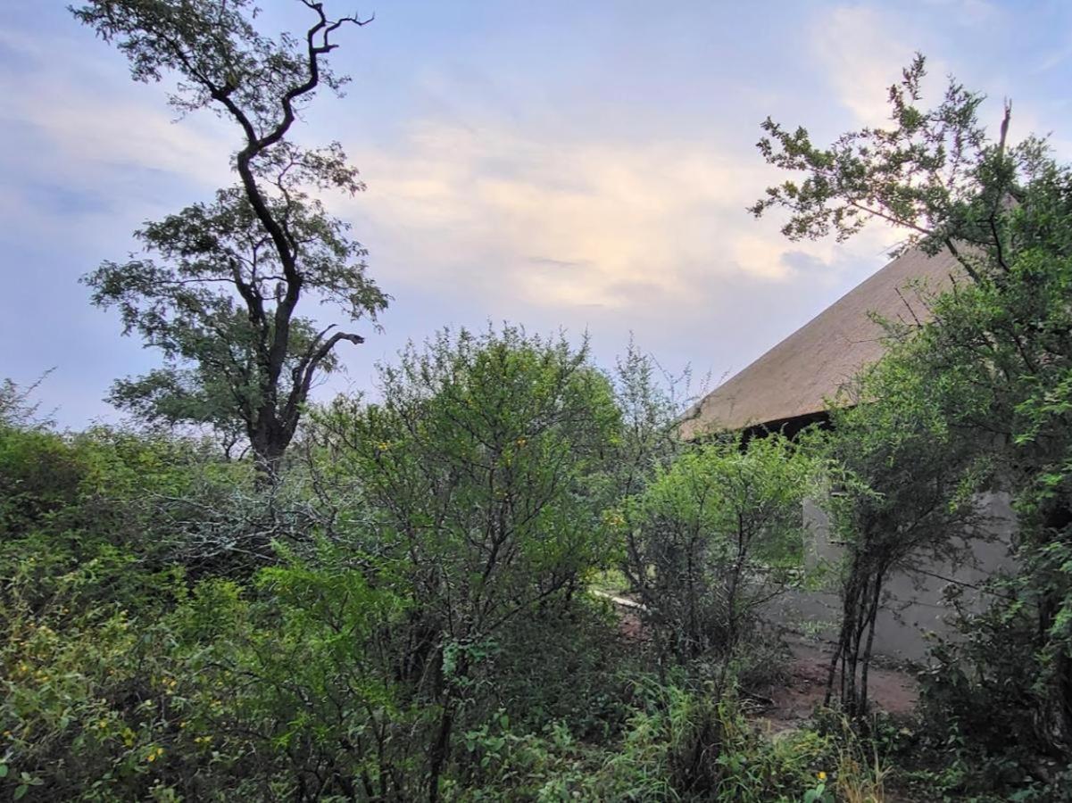 Taaibos Bush Lodge Hoedspruit Exterior photo