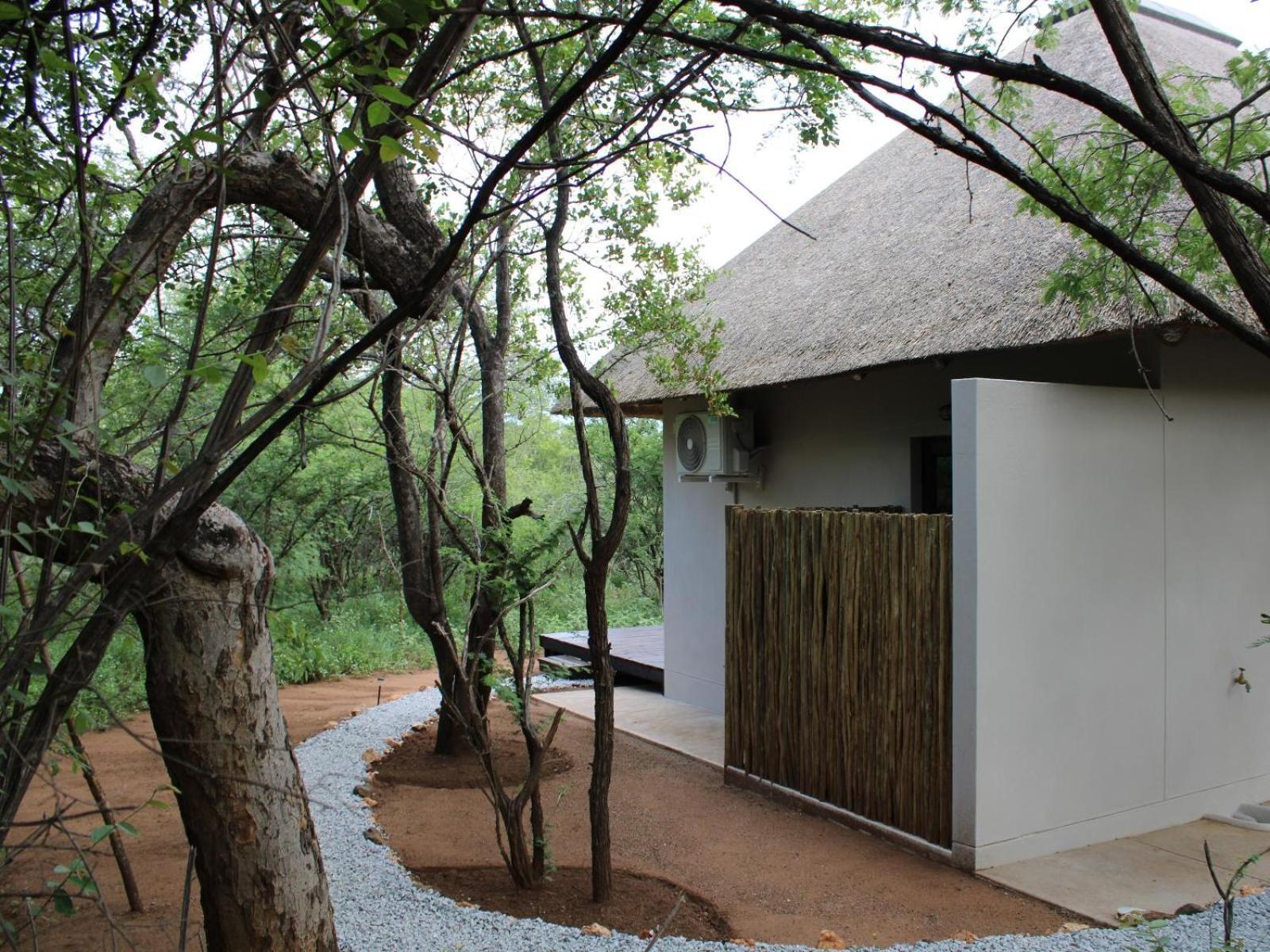 Taaibos Bush Lodge Hoedspruit Room photo